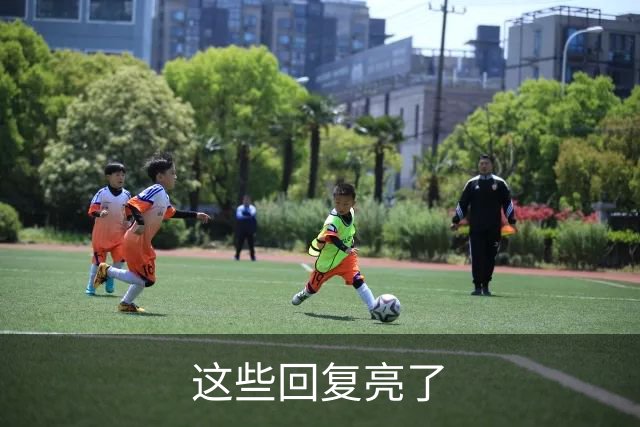 这些回复亮了